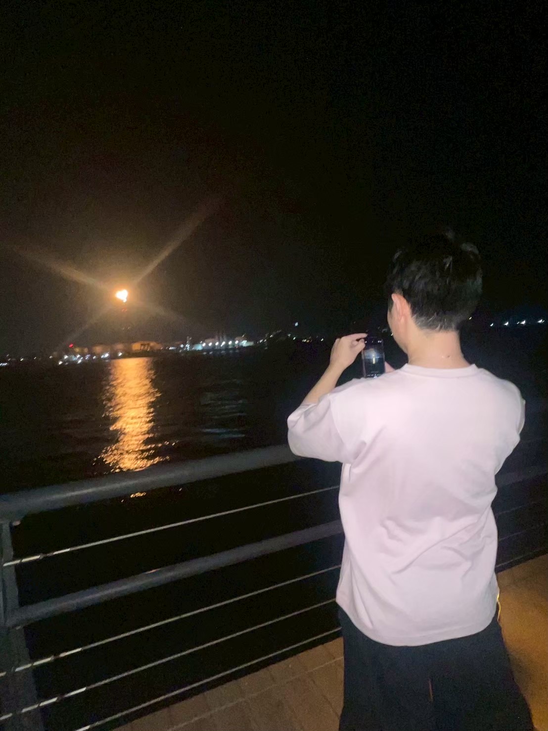 TMY.DEV プロフィール画像